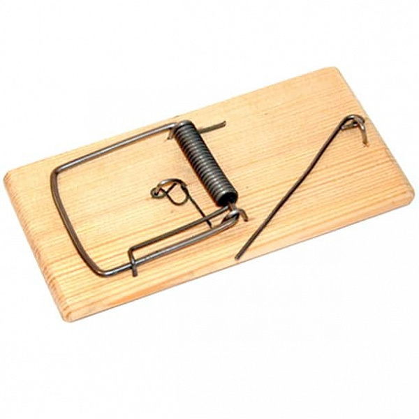 Купить Мышеловку В Спб Адреса Магазинов