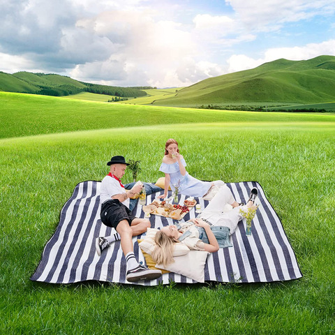 Картинка покрывало для пикника Skully WQ-blanket-wp white-blue stripes - 11
