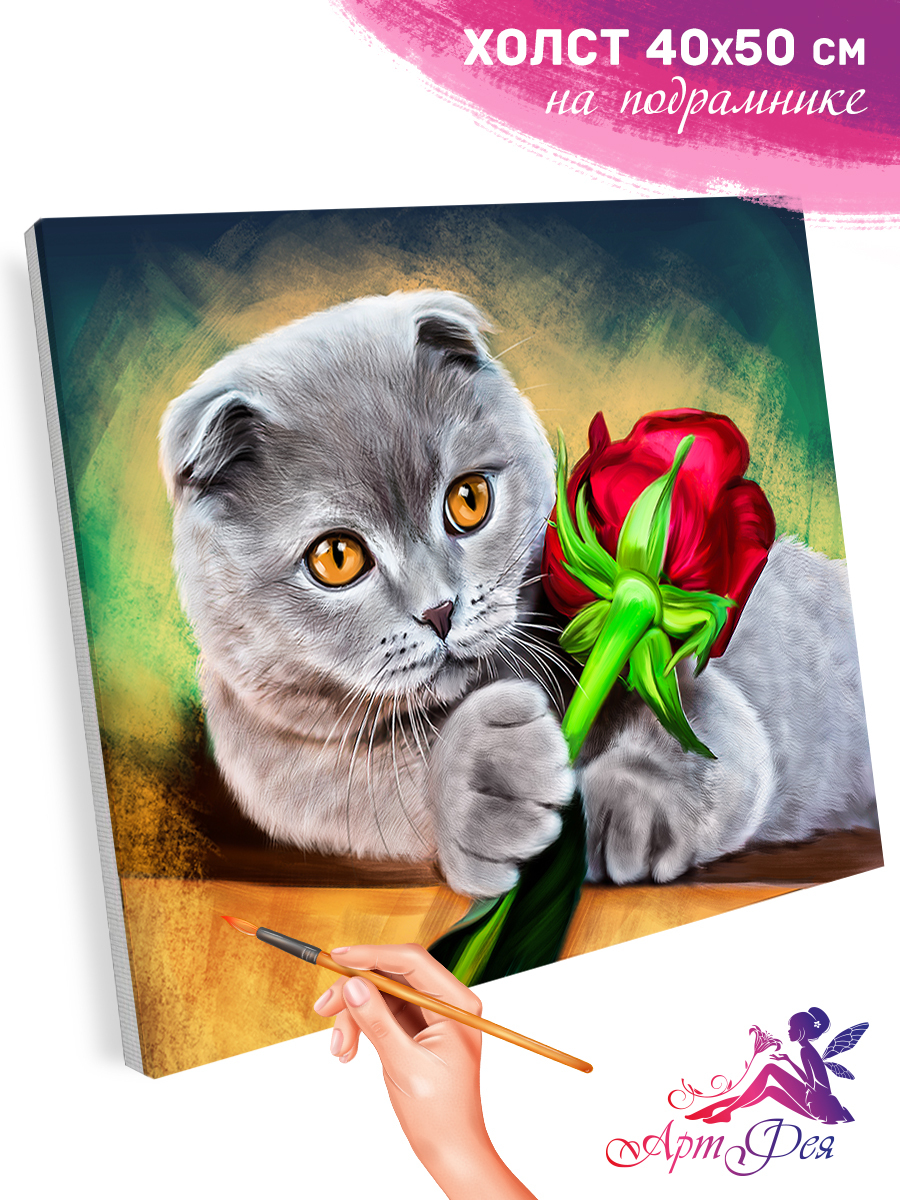 Картина по номерам Мудрый кот, 40x50 см. Фрея