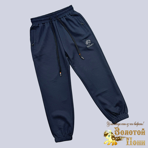 Брюки спортивные м (5-9) 250109-RT1045