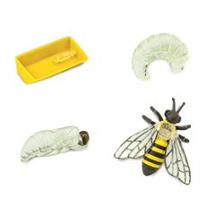 Набор фигурок Жизненный цикл пчелы, Safari Ltd.