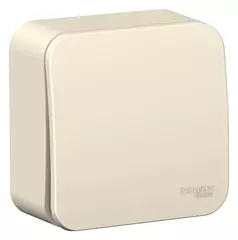 Schneider Electric BLANCA О/У ВЫКЛЮЧАТЕЛЬ 1-клавишный (cх.1) ИЗОЛ.ПЛ., 10А, 250B, МОЛОЧНЫЙ   407508
