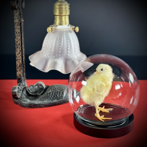 Цыплёнок в клоше