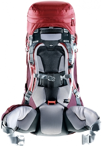 Картинка рюкзак туристический Deuter Aircontact Pro 55+15 SL Cranberry-Aubergine - 3