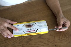 «Mr.Catch» (Мистер Кэтч), ПРОФЕССИОНАЛЬНАЯ КЛЕЕВАЯ ЛОВУШКА С АТТРАКТАНТОМ ДЛЯ ТАРАКАНОВ