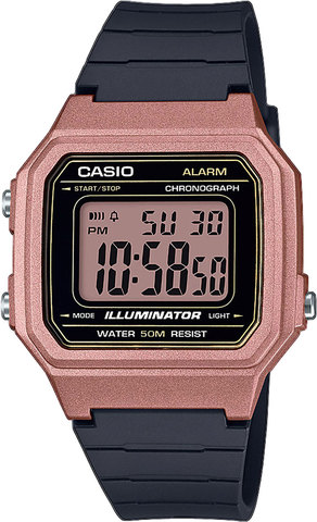 Наручные часы Casio W-217HM-5A фото