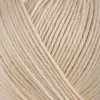 Пряжа Gazzal Baby Wool 829 (Экрю)