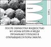 Эмаль герметизирующий ликвид (5 мл + 5 мл) HUMANCHEMIE — фото 2