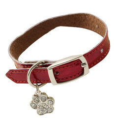 Triol ошейник-мини двойной с подвеской кожаный, 14*250мм