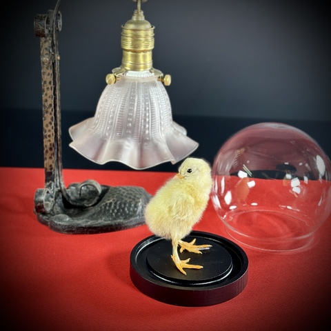 Цыплёнок в клоше