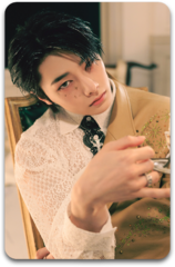 Карта / STRAY KIDS #3260