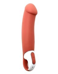 Перезаряжаемый вибратор Satisfyer Vibes Master - 23,5 см. - 