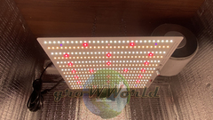 80х80х160 PROBOX LED Rootster Board Lite 225W SUPERSILENT