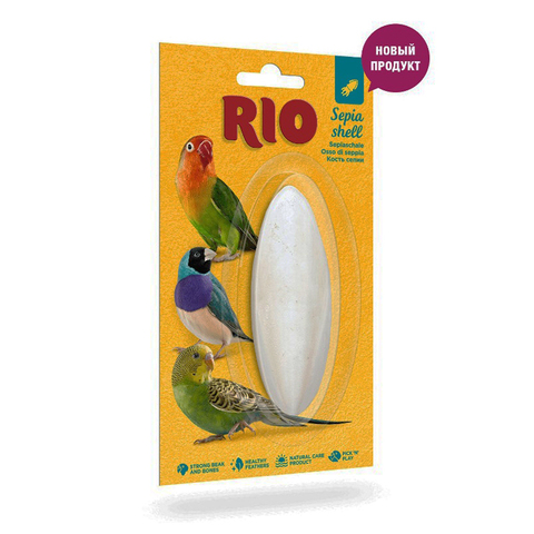 Рио Сепия (каракатица) 10 см