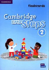 Little Steps 2 Flashcards