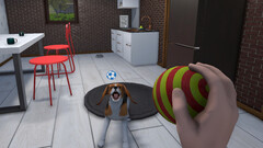 House Flipper Pets VR (для ПК, цифровой код доступа)