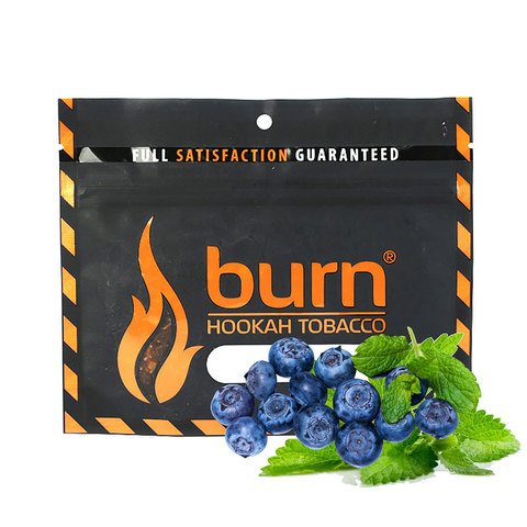 Табак Burn Акциз Blueberry Mint 100 г