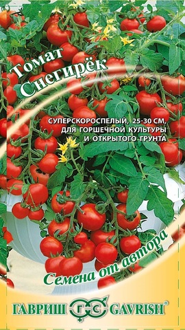 Семена томат горшечный Снегирек