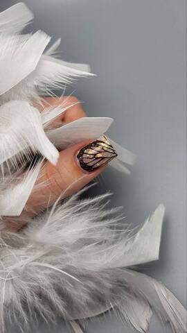 Слайдер дизайн COLORFUL №240