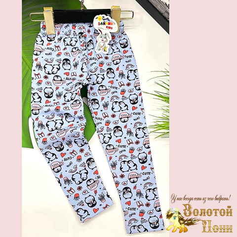 Леггинсы хлопок (3-7) 250411-RW6032
