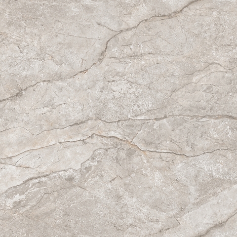 Neodom Marble Elegant River Matt 120x120