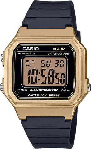 Наручные часы Casio W-217HM-9A фото