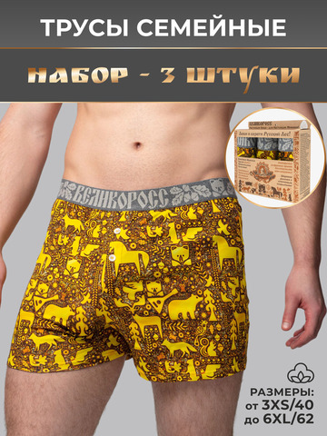 Комплект из 3-х семейных трусов - «Золотой лес»