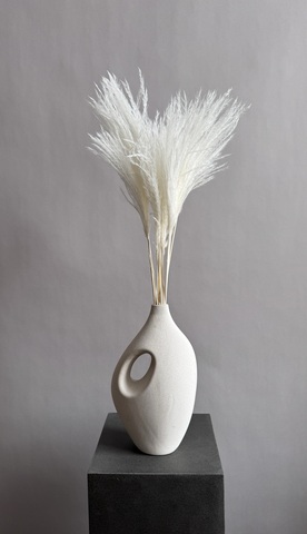 Мискантус белый