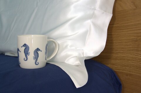 Наволочка 50х80 Silkow Venezia белая skv-l22