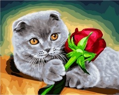 Картина по номерам Кот / котик/ британец / кот с розой