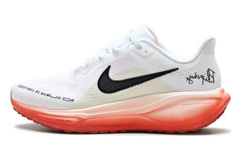 Nike Pegasus 30