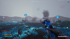 Astrometica (для ПК, цифровой код доступа)