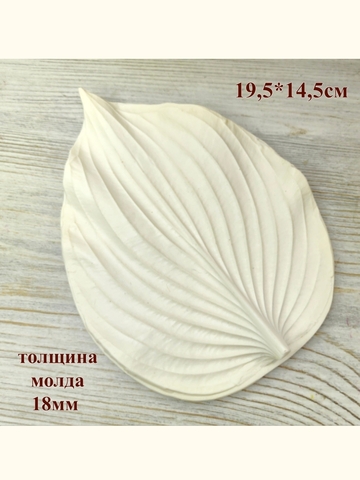 Молд лист 19,5х14,5см 