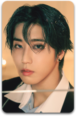 Карта / STRAY KIDS #3251