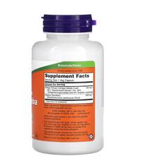 NOW Foods Гинкго билоба двойного действия, 120 мг, 100 растительных капсул