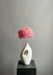 Гортензия стабилизированная светло-розовая