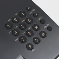 Телефон проводной Panasonic KX-TS2350RUB черный