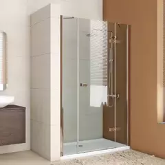 GuteWetter TREND Door GK-863P Two CR CH113 1 R 155 Душевая дверь в нишу правая 155 см стекло бесцветное Two, профиль хром фото