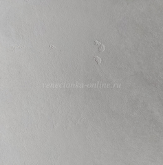 Fantasia Silver Pratta