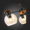 Люстра потолочная Evoluce Rasco SLE108102-03