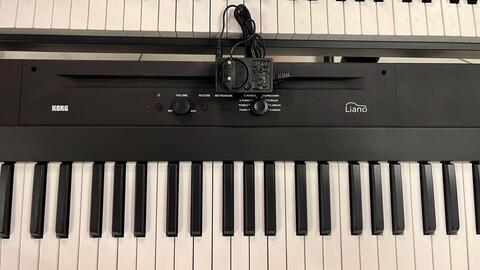 KORG L1 BK цифровое пианино