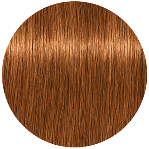 Schwarzkopf Igora Absolutes 9-460 (Блондин бежевый шоколадный натуральный) - Стойкая крем-краска для окрашивания зрелых волос