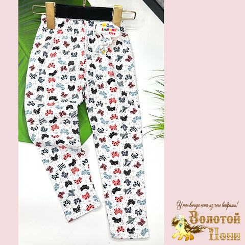 Леггинсы хлопок (3-7) 250411-RW6035