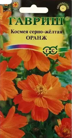 Семена Космея Оранж