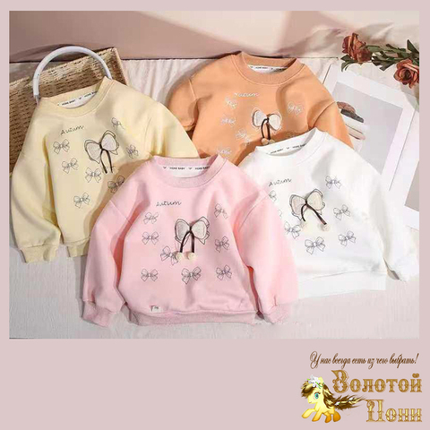 Свитшот хлопок д (1-5) 250616-X151