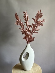 Рускус садовый стабилизированный нюдовый