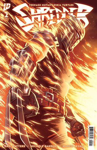 Teenage Mutant Ninja Turtles Shredder #2 (Cover B)