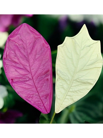 Молд пластиковый+Вайнер силиконовый 