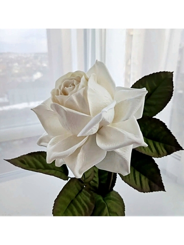 Молд пластиковый+Вайнер силиконовый лепесток розы 