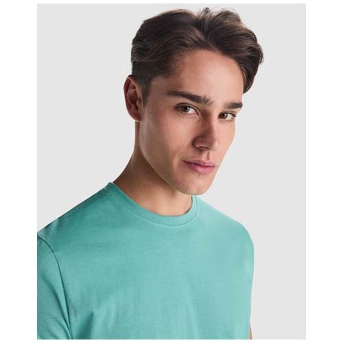 Мужская футболка Stafford с коротким рукавом